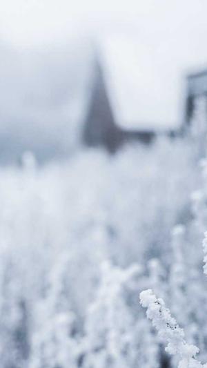 2022黑料不打烊截图3