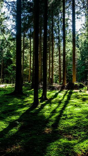 黑料社在线截图2