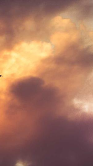 豆瓣自由吃瓜基地截图2