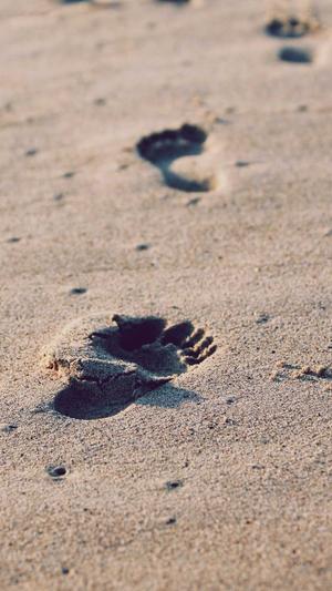 八瓜鱼吃货截图1