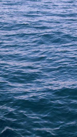 哈密瓜怎么热着吃截图2