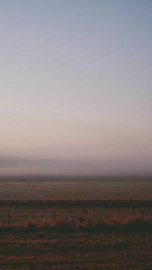 孕妇晚期可以吃哈密瓜截图2