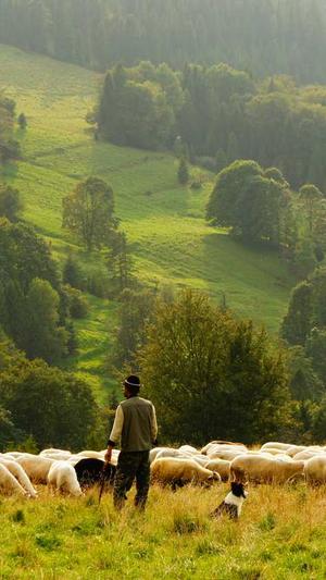 黑料不打烊吧截图4