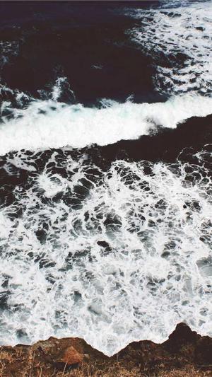 traineea成员jj黑料截图2