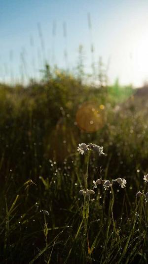吃瓜群众啥意思截图3