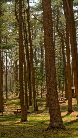 马思唯黑料截图4