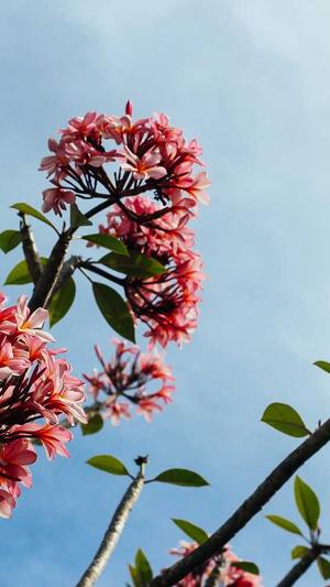 黄景瑜黑料截图5