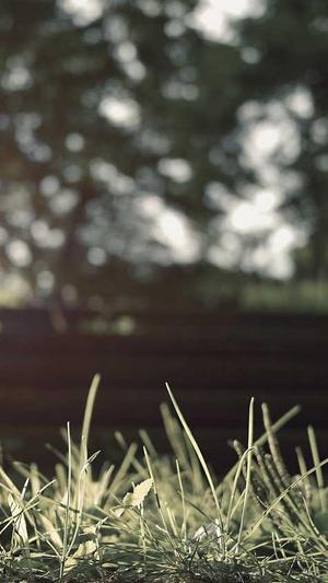 网曝吃瓜黑料四区截图3