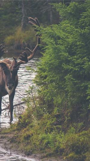 豪门世家女配吃瓜日常截图3