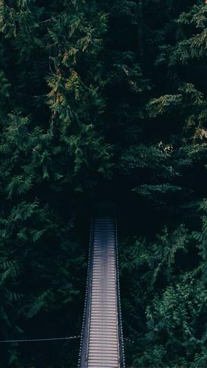 黑料不打烊被禁了截图2