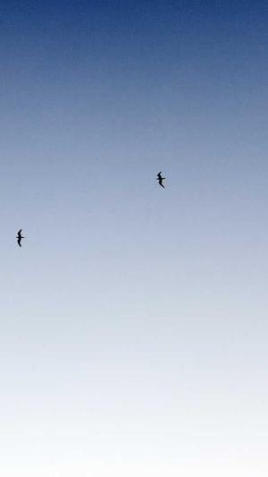 黑料不打烊网页版截图2