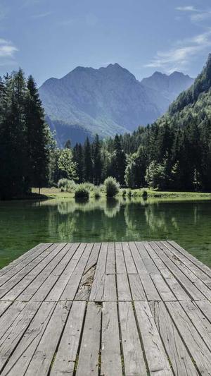 娱乐圈一线明星黑料截图2