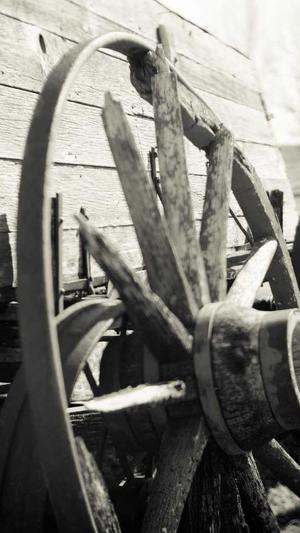 国产吃瓜在线播放截图3