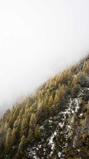 国产黑料吃瓜51吃瓜截图2