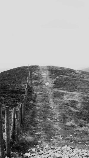 孕妇可以吃哈密瓜吗吗截图3