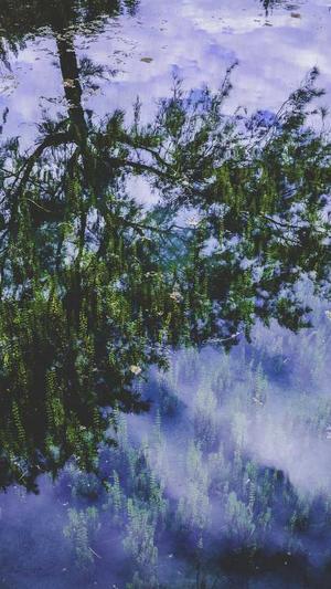 黑料网站在哪儿截图5