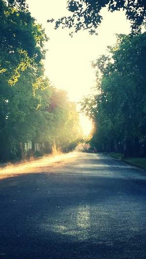 黑料正能量index.php直达截图3