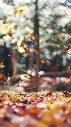 黑料社区网址截图1