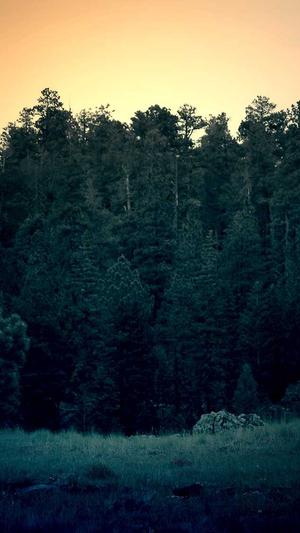 倪妮的黑料截图1