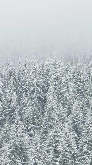 911吃瓜爆料官网截图1