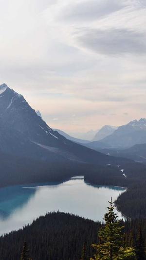 17c吃瓜网-免费吃瓜截图3