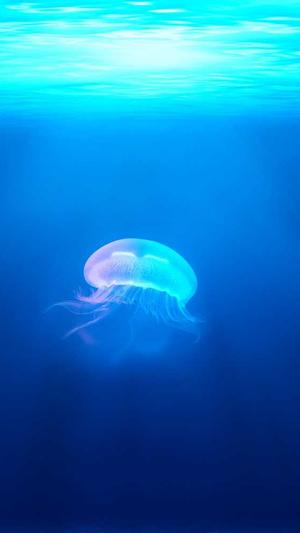 邓紫棋黑料截图4