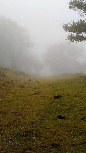 娱乐圈真实黑料 天涯截图2