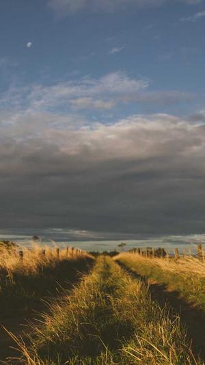 黑料不打烊tttzzz668截图2