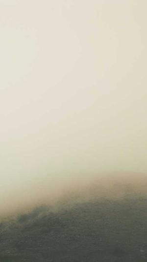 哈密瓜和螃蟹能一起吃吗截图5