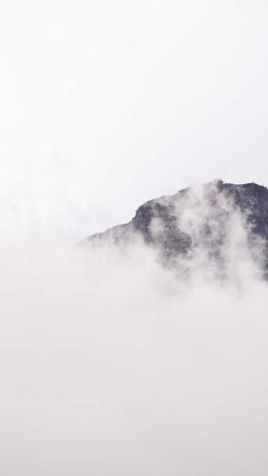 吃瓜群众啥意思截图2