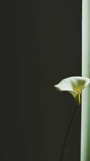 倪妮的黑料截图3