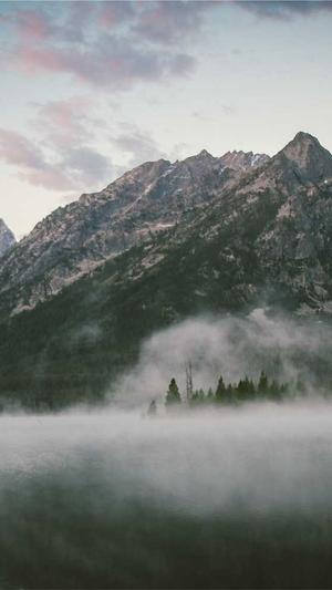 大红酸枝黑料截图1