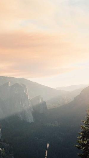 孕妇可以吃凉瓜吗截图5