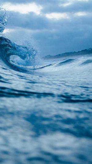 黑料在线播放截图1